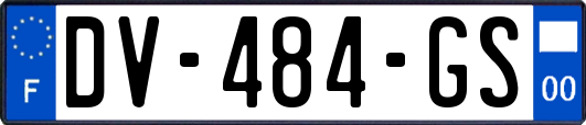 DV-484-GS