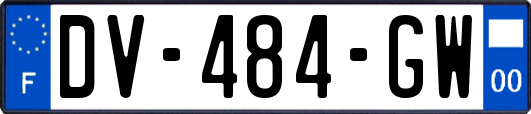 DV-484-GW