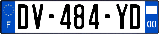 DV-484-YD