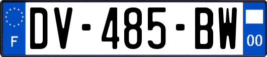 DV-485-BW