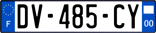 DV-485-CY