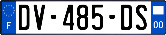 DV-485-DS