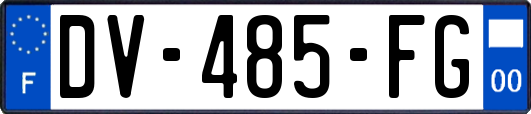 DV-485-FG