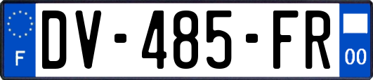 DV-485-FR