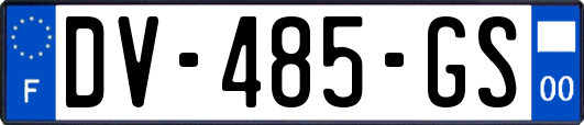 DV-485-GS