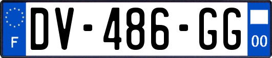 DV-486-GG