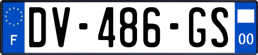 DV-486-GS