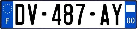 DV-487-AY