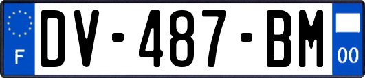 DV-487-BM