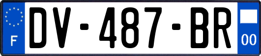 DV-487-BR