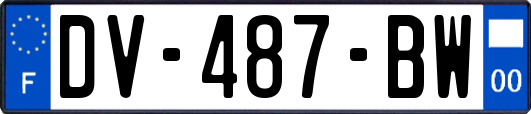 DV-487-BW