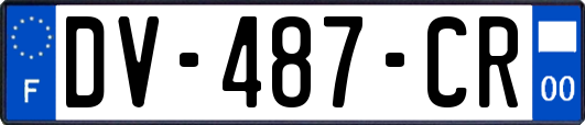 DV-487-CR