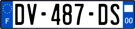 DV-487-DS