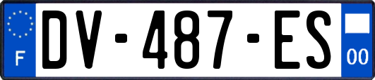 DV-487-ES