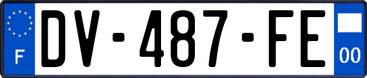 DV-487-FE