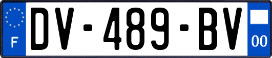 DV-489-BV