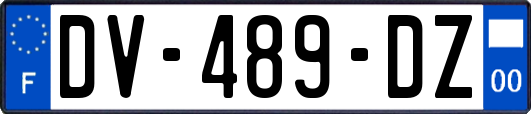 DV-489-DZ