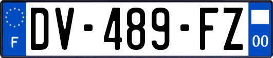 DV-489-FZ