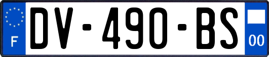 DV-490-BS