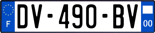 DV-490-BV