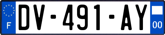 DV-491-AY