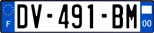 DV-491-BM