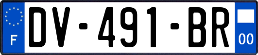 DV-491-BR