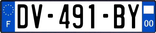 DV-491-BY