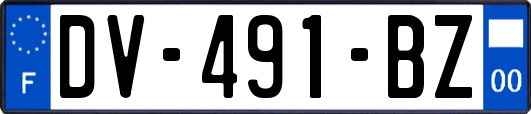 DV-491-BZ