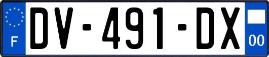 DV-491-DX