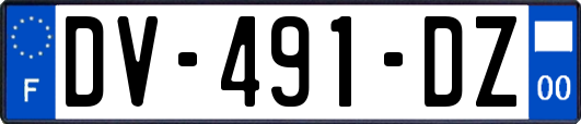 DV-491-DZ