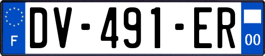 DV-491-ER