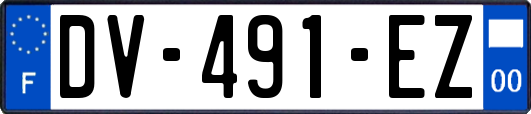 DV-491-EZ