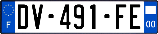 DV-491-FE