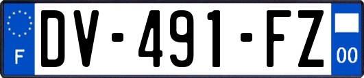 DV-491-FZ