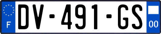 DV-491-GS