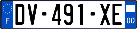 DV-491-XE