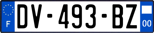 DV-493-BZ