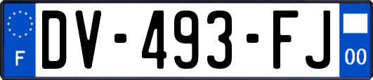 DV-493-FJ