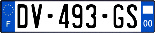 DV-493-GS