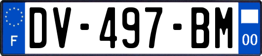 DV-497-BM