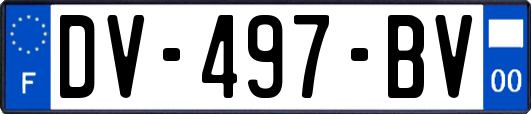 DV-497-BV