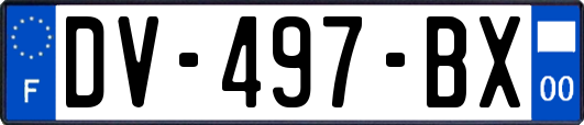 DV-497-BX