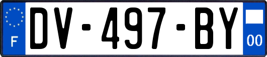 DV-497-BY