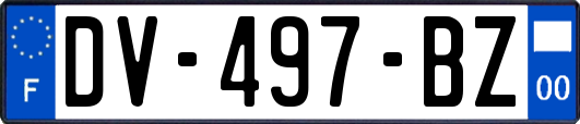 DV-497-BZ