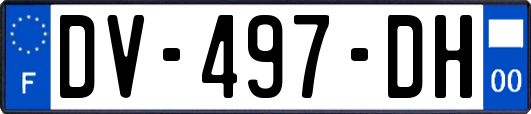 DV-497-DH