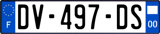 DV-497-DS