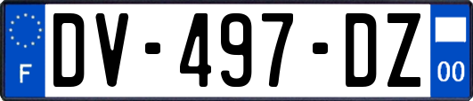 DV-497-DZ