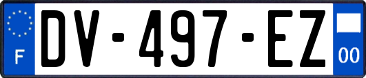 DV-497-EZ