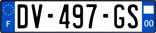 DV-497-GS